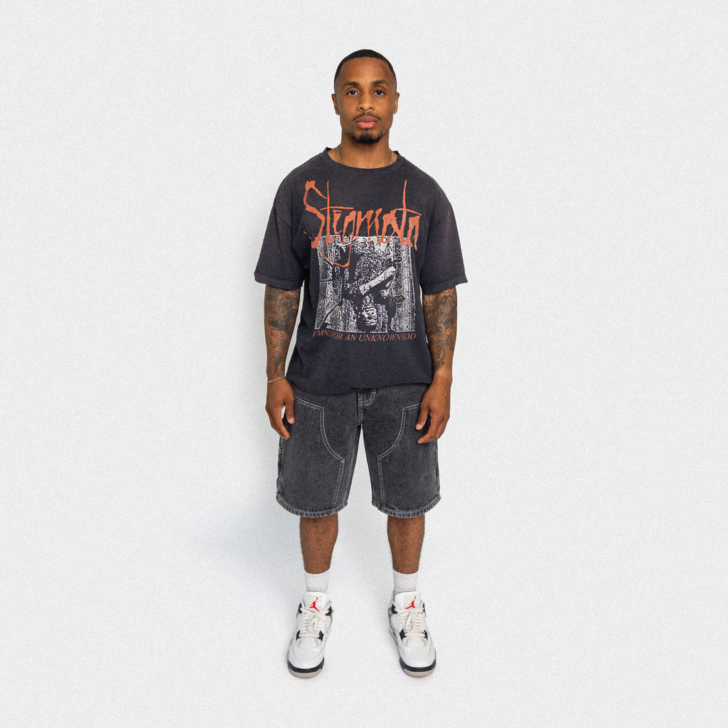 Pain of Truth Denim Shorts