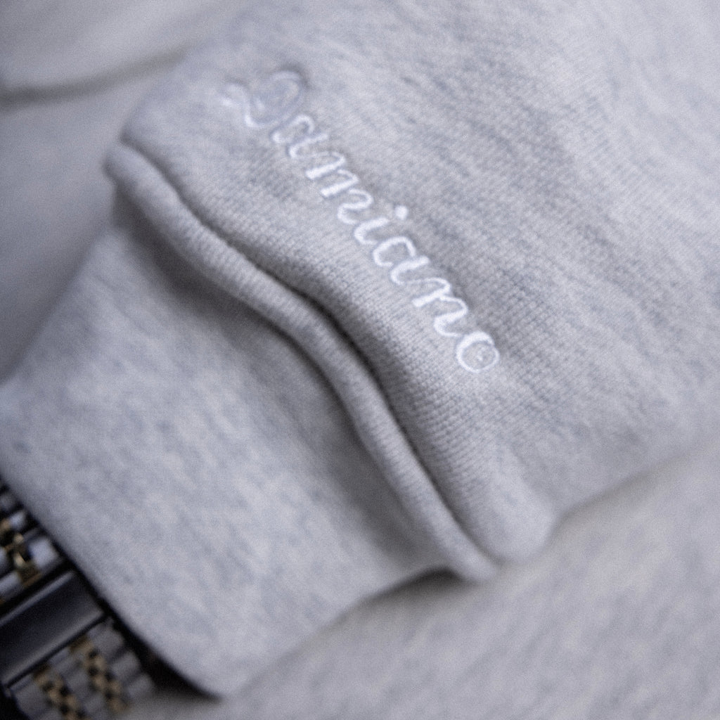 Ultra Heavyweight Hoodie - Ash Gray