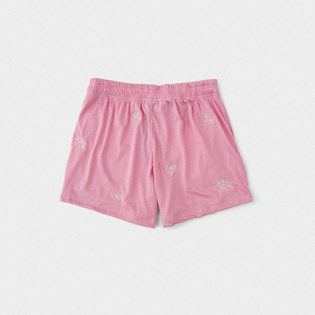 Floral Embroidered Mesh Shorts - Pink