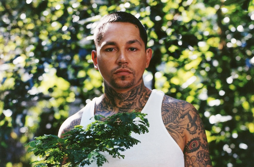 Describes the appearance of the image